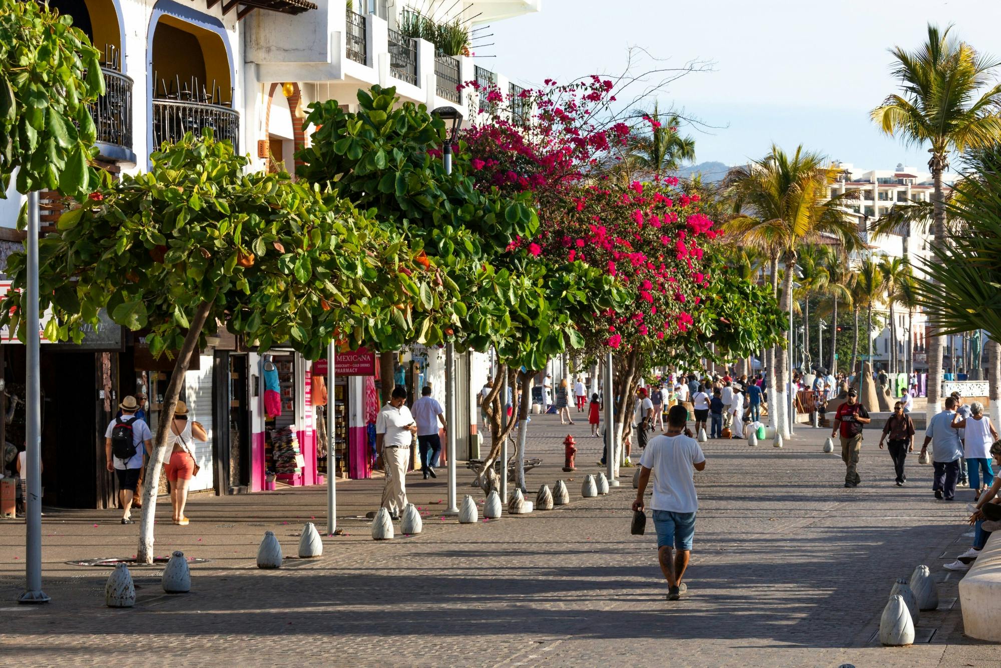 Puerto Vallarta Shopping & City Tour