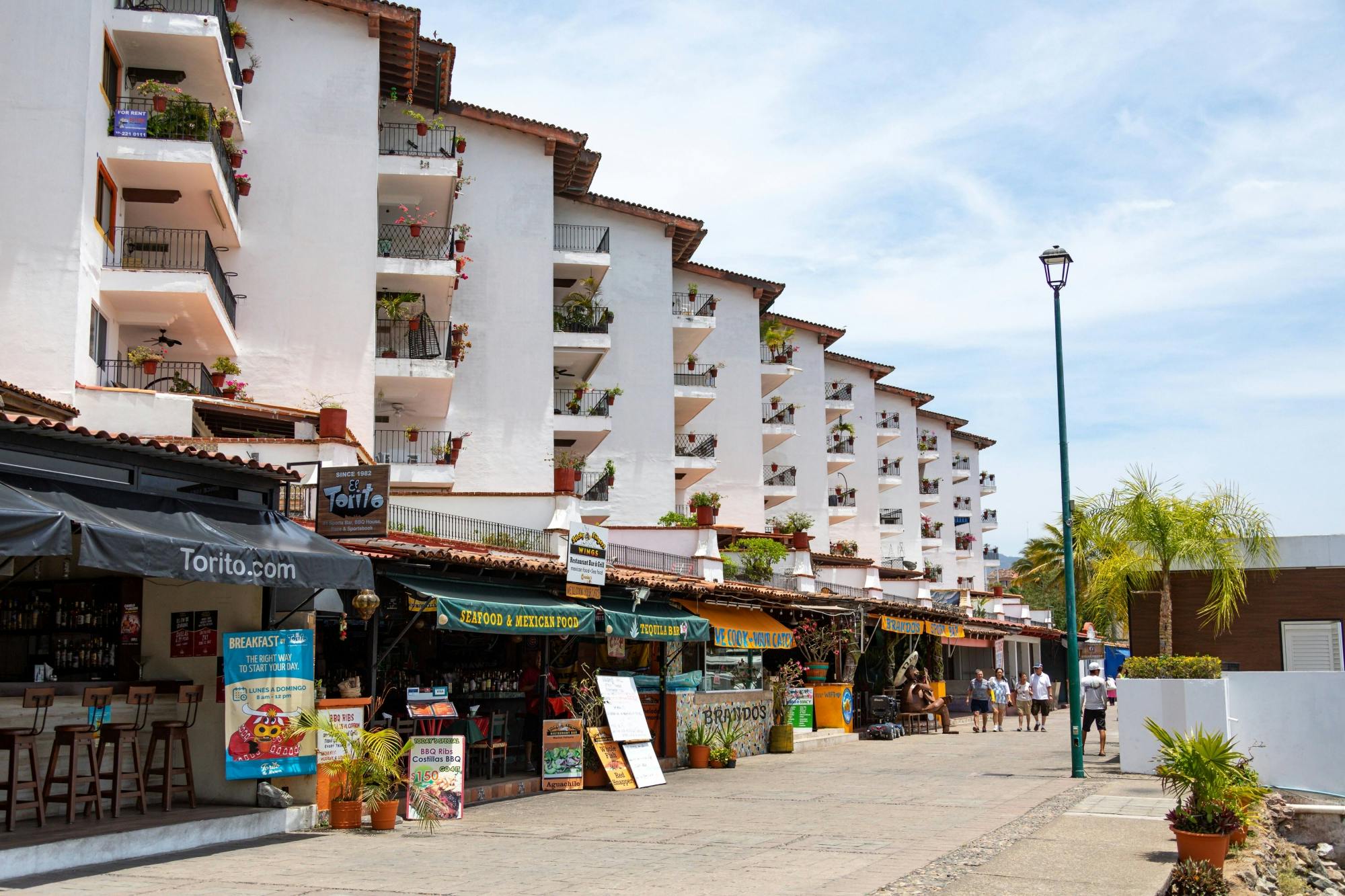 Puerto Vallarta Shopping & City Tour