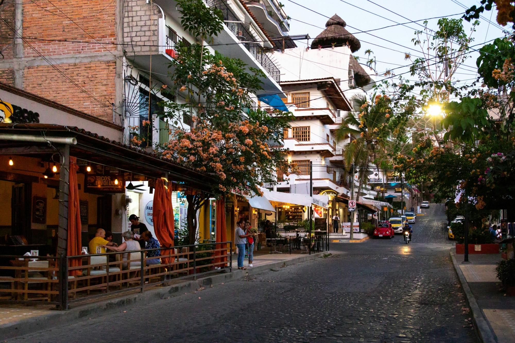Puerto Vallarta Shopping & City Tour