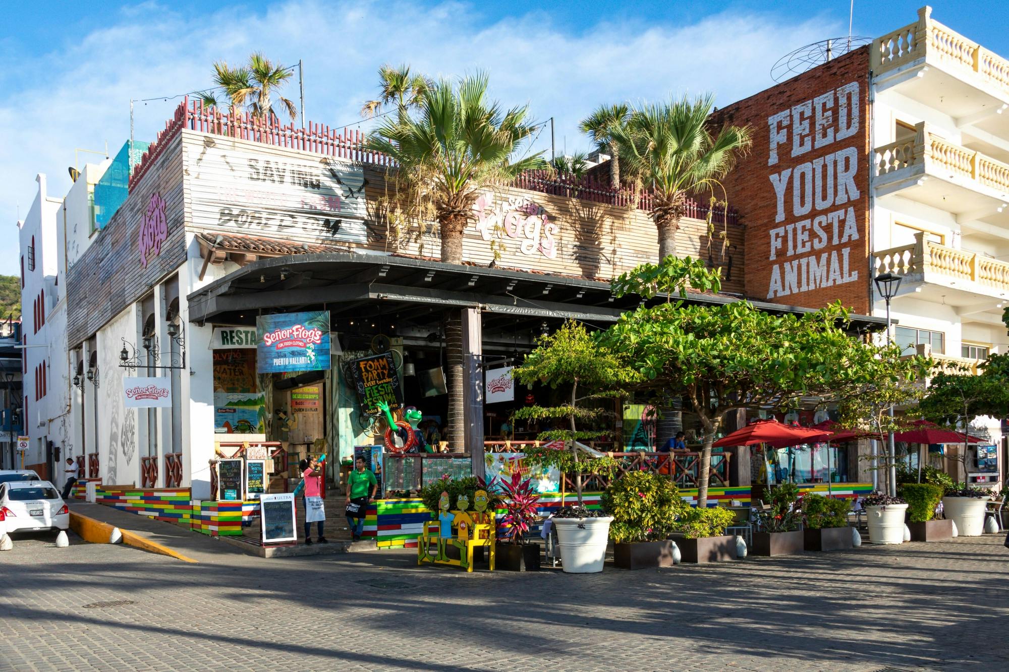 Puerto Vallarta Shopping & City Tour