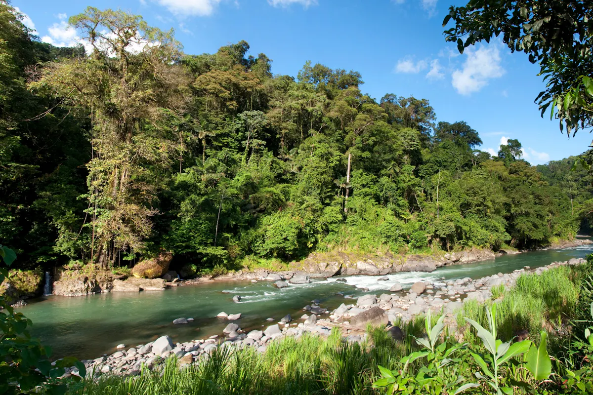 Rafting on Pacuare River Class III - IV Ticket