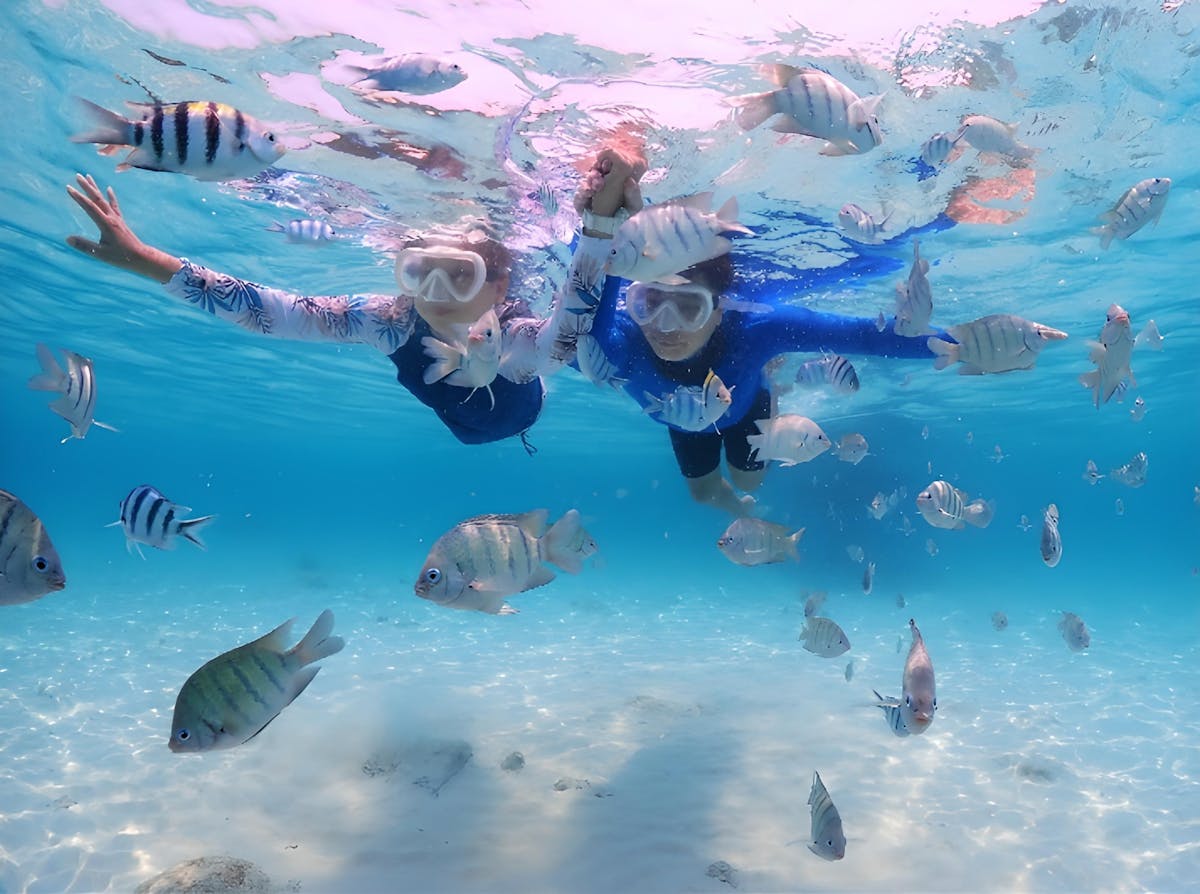 Blue Lagoon snorkelen en Tegenungan waterval bezoeken 1-daagse tour