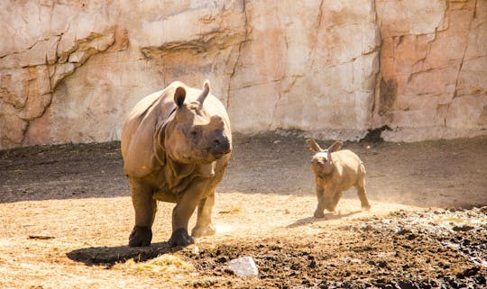 Biglietti Terra Natura Zoo