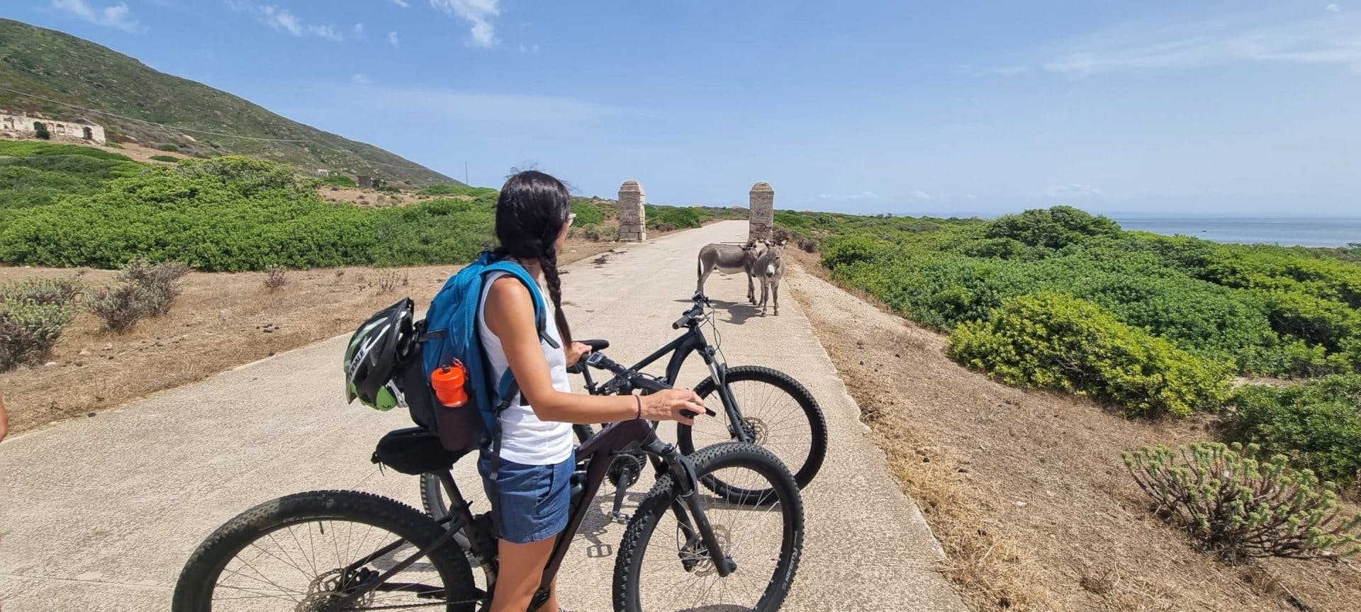 Asinara island e-bike rental from Porto Torres