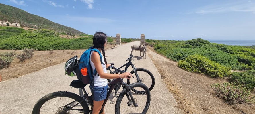 Location de vélos électriques sur l'île d'Asinara au départ de Porto Torres