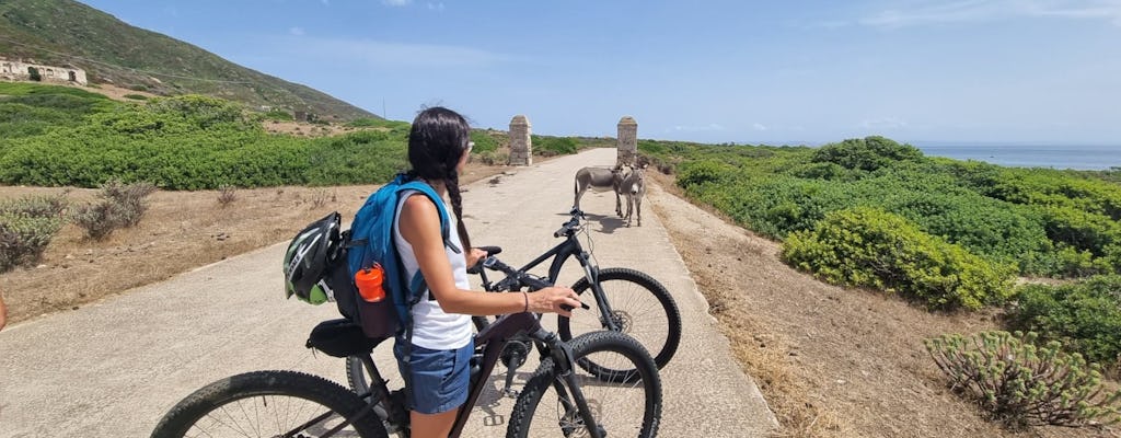 E-Bike-Verleih auf der Insel Asinara in Porto Torres