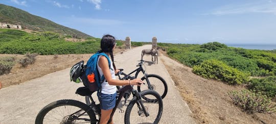 Asinara island e-bike rental from Porto Torres