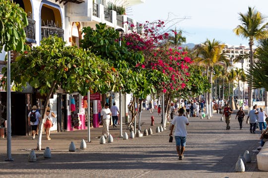 Shopping et visite de la ville de Puerto Vallarta
