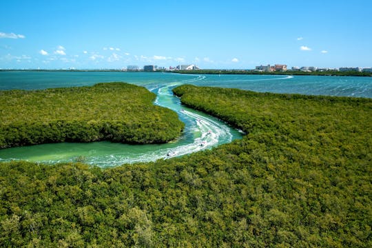 Passeio pela selva de Puerto Maya