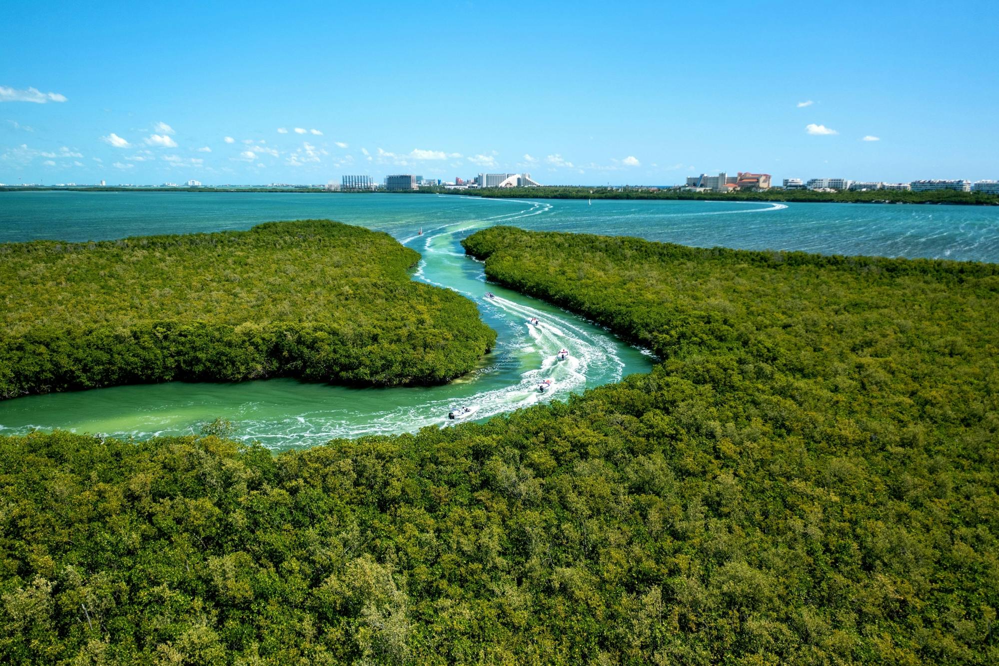 Visite de la jungle de Puerto Maya