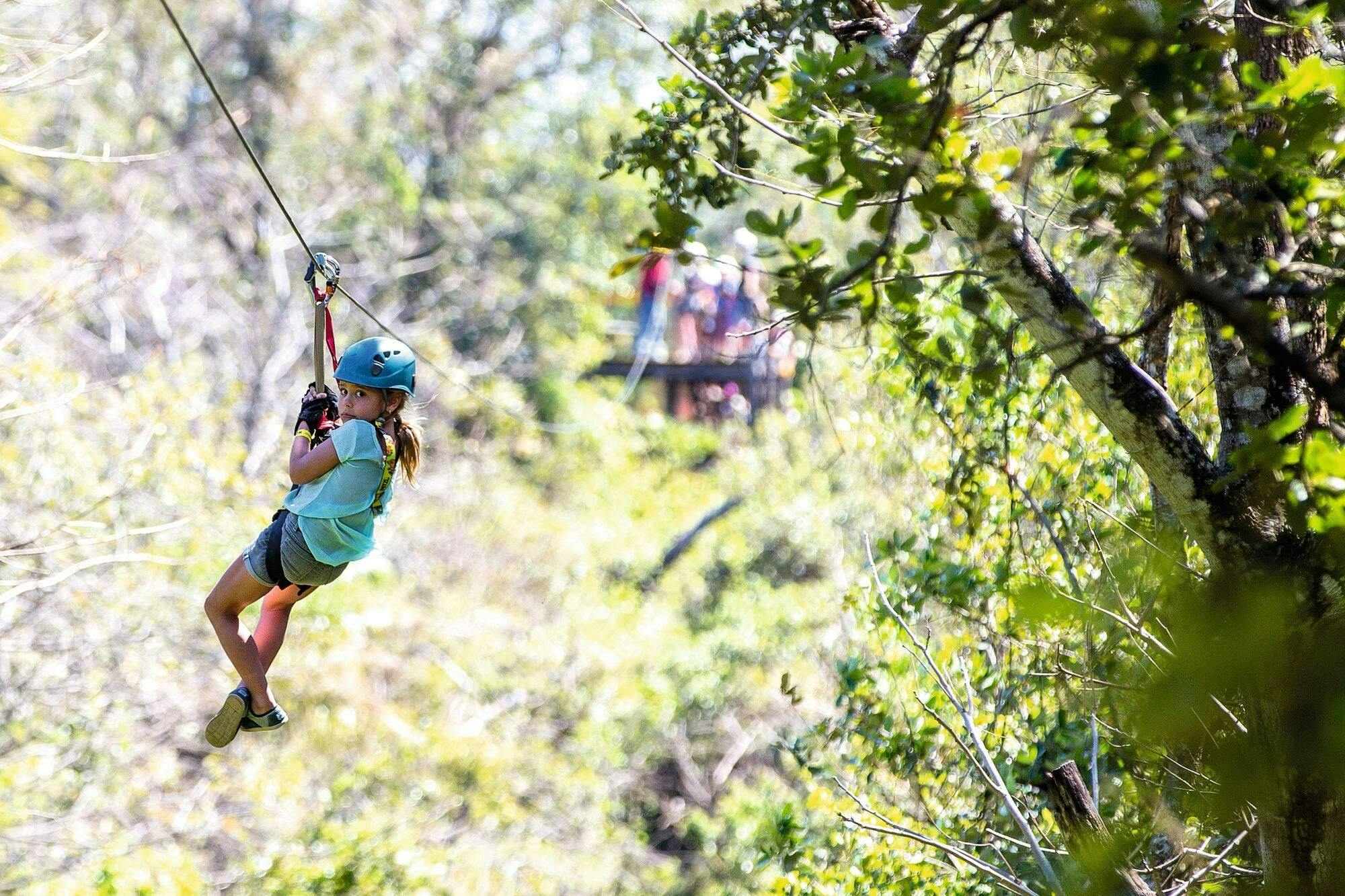 Selvatura Park Zipline & Butterfly Garden Tour