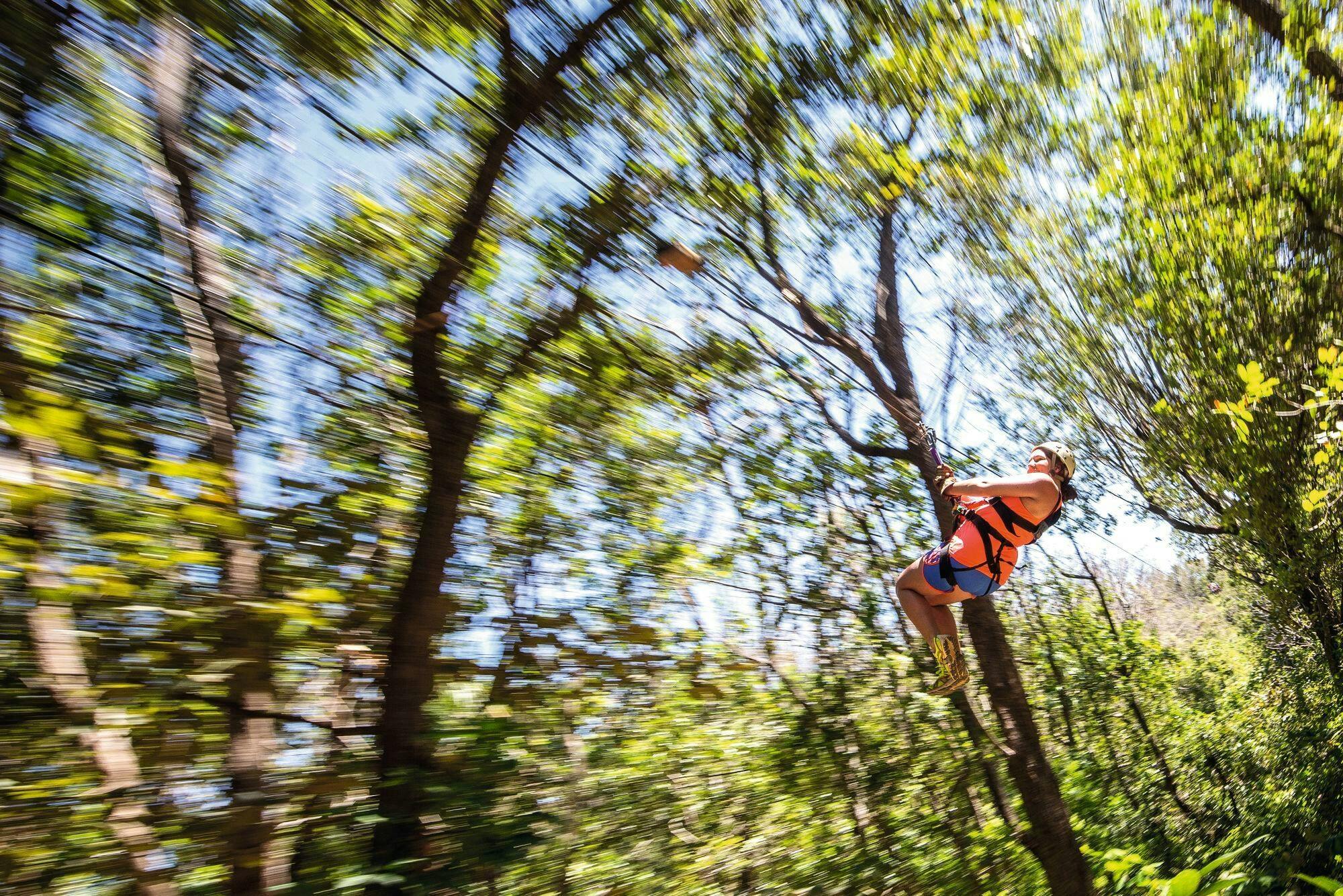 Selvatura Park Zipline & Butterfly Garden Tour