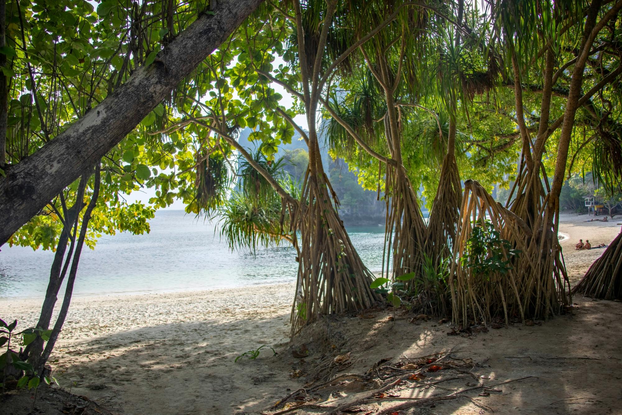 Phang Nga y Ko Khai de isla en isla en lancha rápida desde Khao Lak