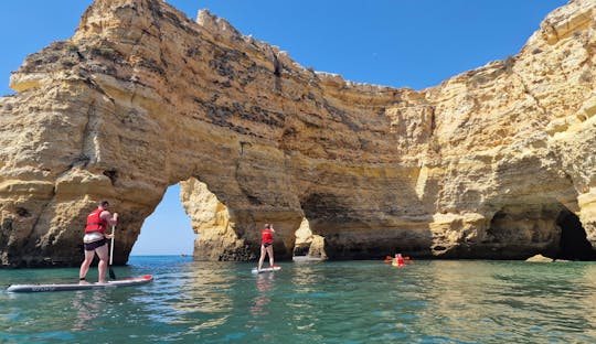 Cuevas y acantilados en Stand Up Paddle con transporte