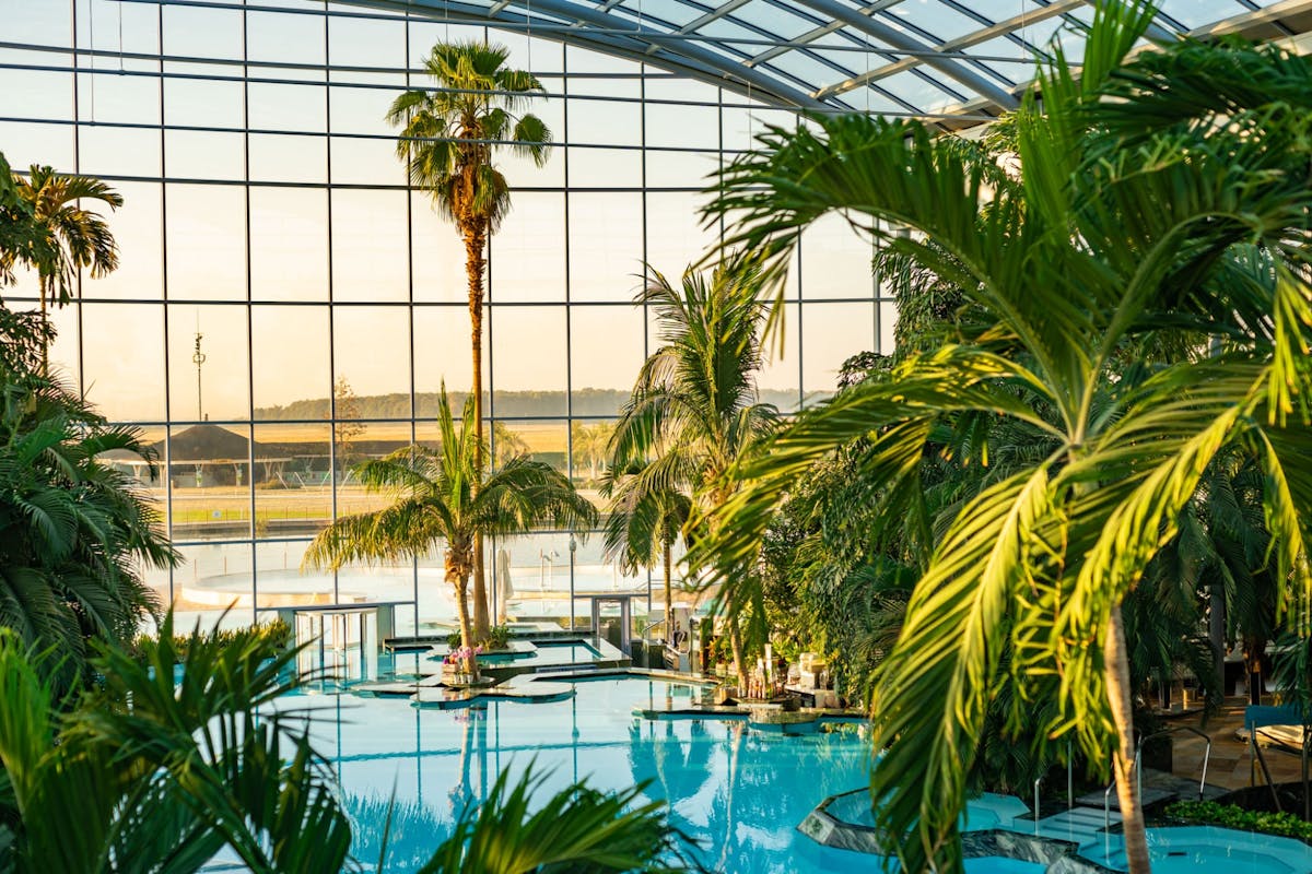 Therme București Spa: ticket zonder wachtrij inclusief vervoer