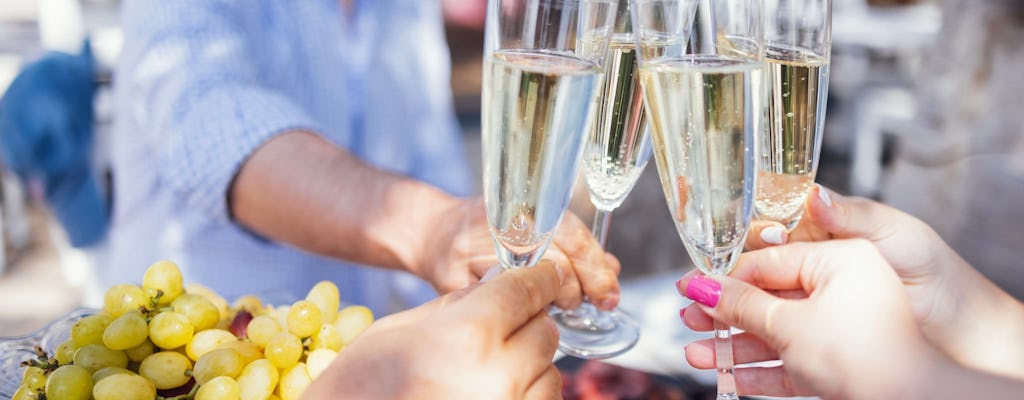 Brunch and cruise on the Danube with Prosecco
