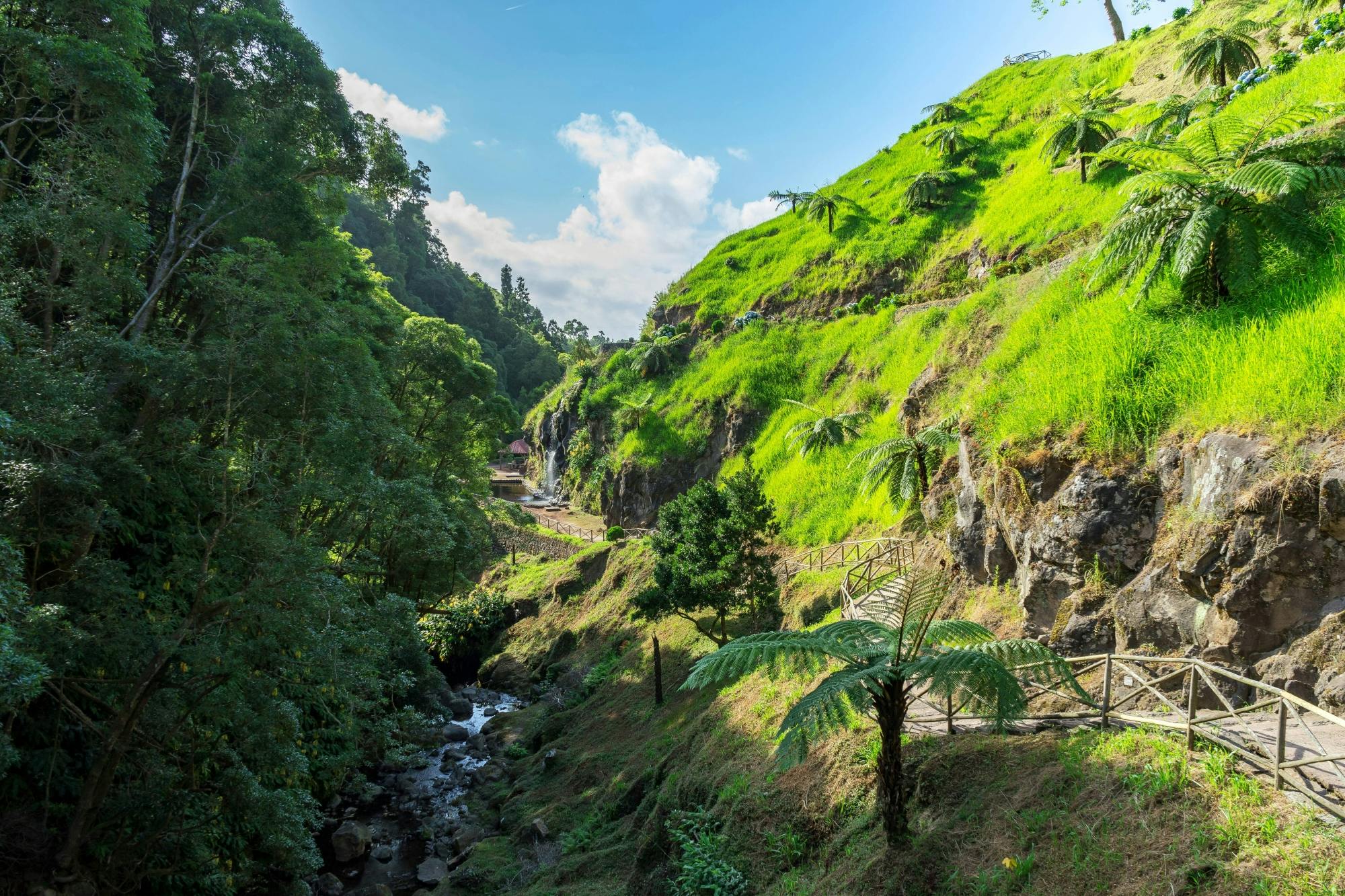 São Miguel North-east 4x4 Tour