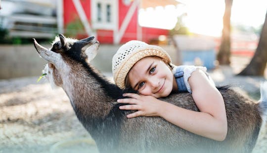 Fresopolis Family Farm Ticket