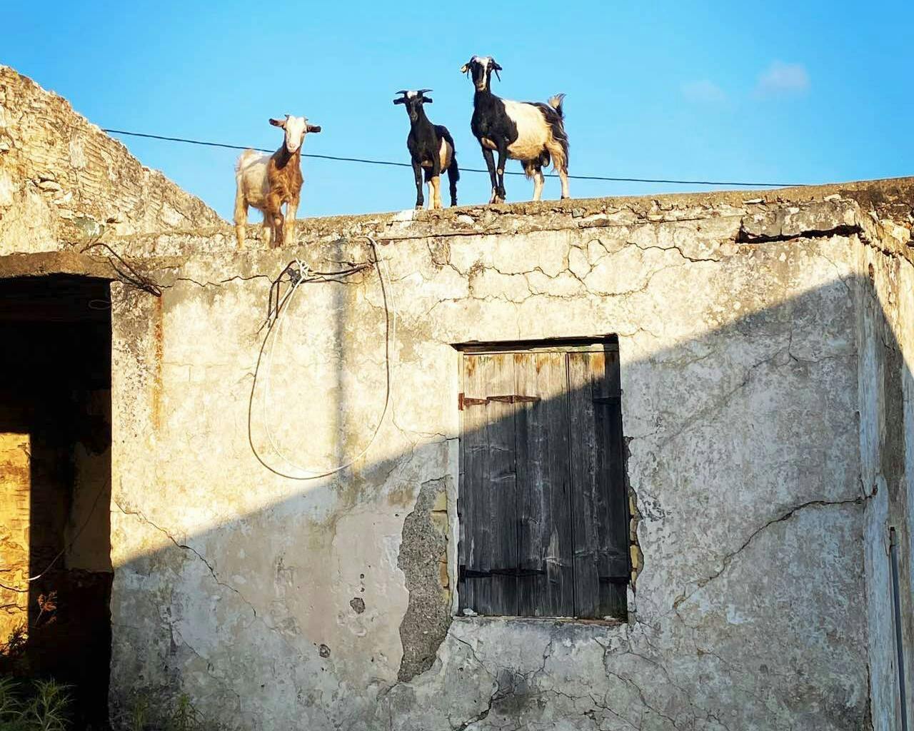 Crete Quad Safari