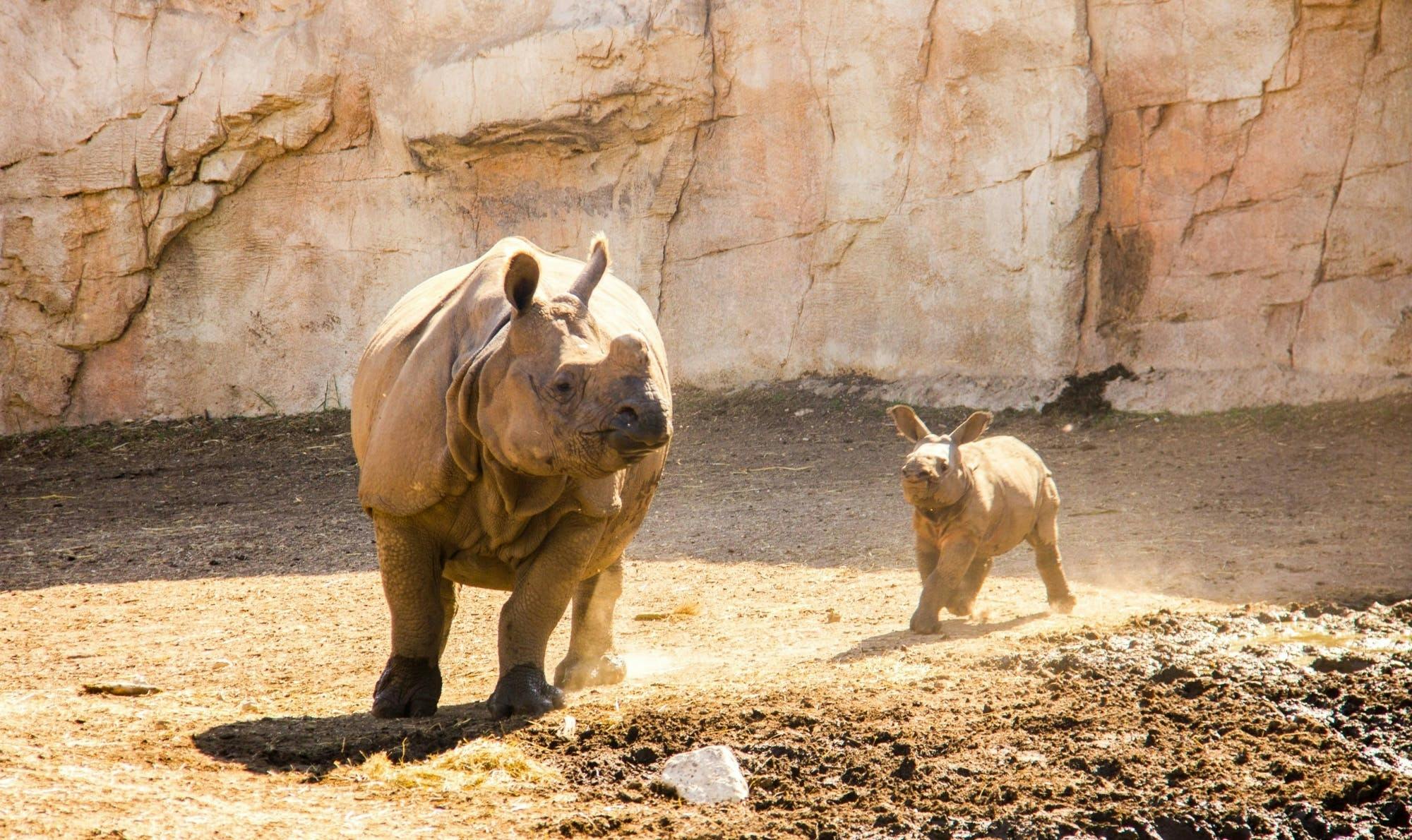 Terra Natura tickets