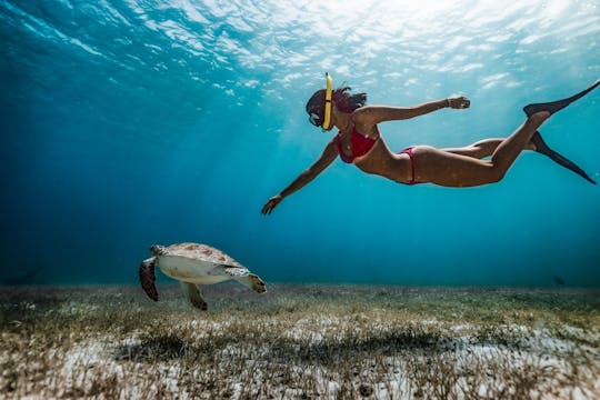 Experiência guiada de snorkeling de dia inteiro com almoço de churrasco em Fujairah