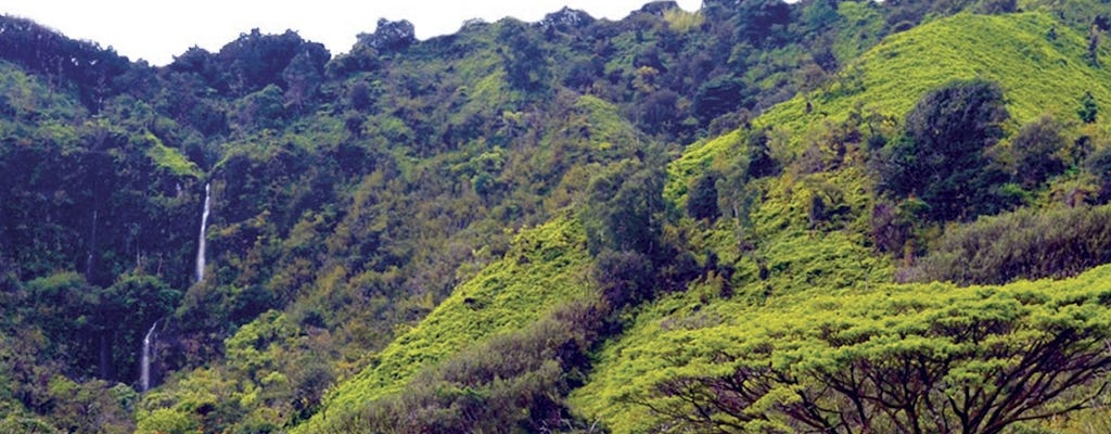 Wycieczka helikopterem Hana Rainforest z Kahului