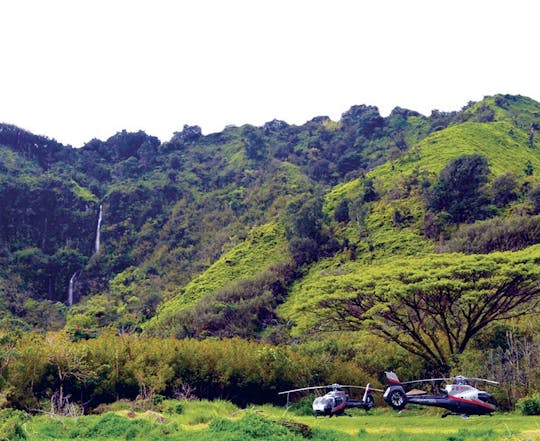 Tour in elicottero della foresta pluviale di Hana da Kahului