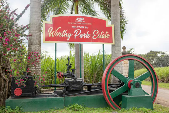 Adults‑only Worthy Park Estate rum tour
