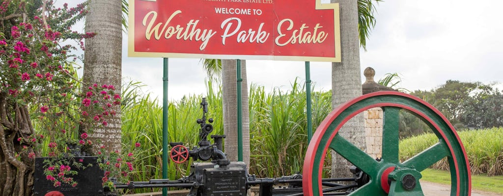 Worthy Park Estate Rum Tour