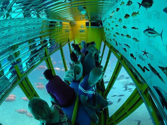 Excursión en barco semisubmarino