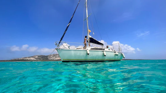 Asinara full day sailboat excursion from Stintino