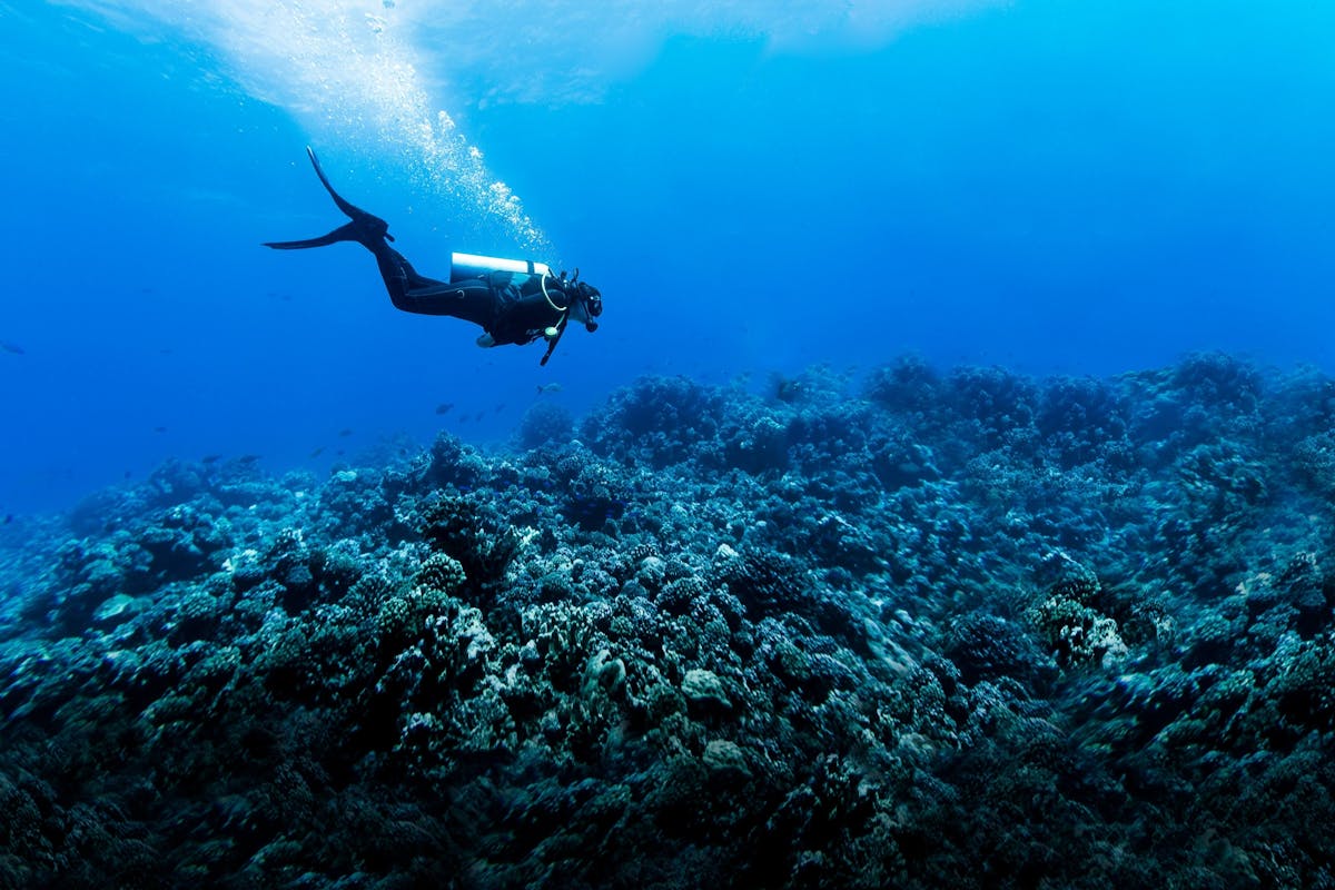 One Dive from Shore with H2O Scuba Academy