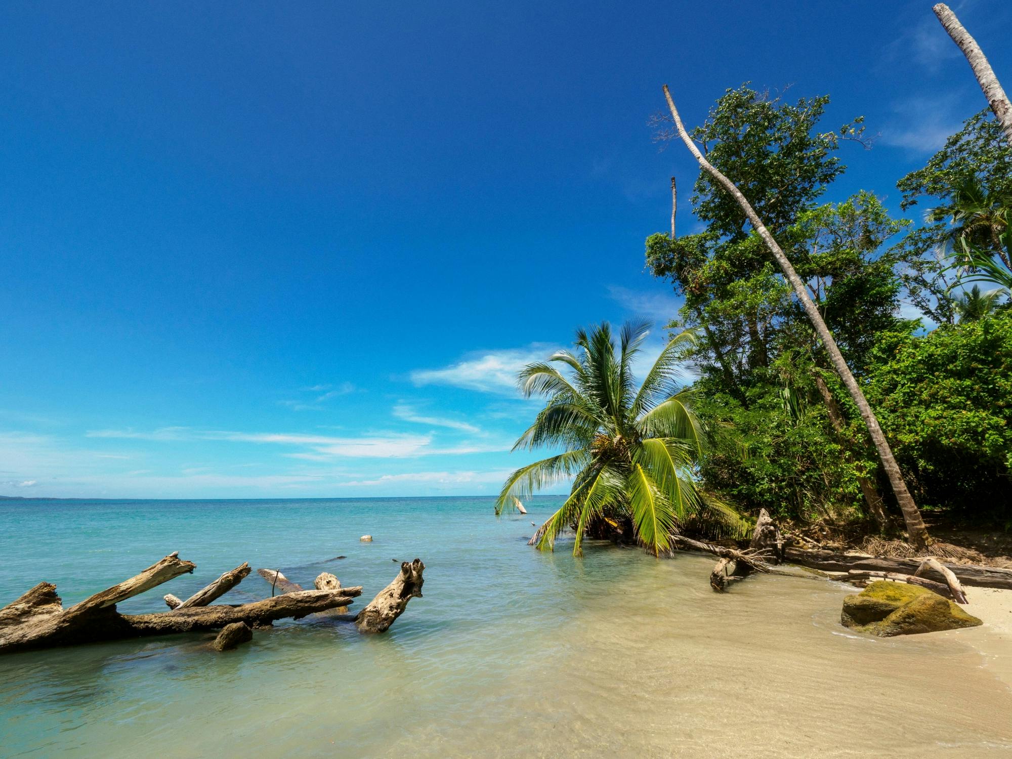 Parc national de Cahuita : plongée en apnée et randonnée avec le sanctuaire des paresseux