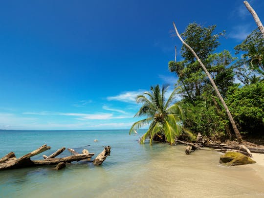 Parc national de Cahuita : plongée en apnée et randonnée avec le sanctuaire des paresseux