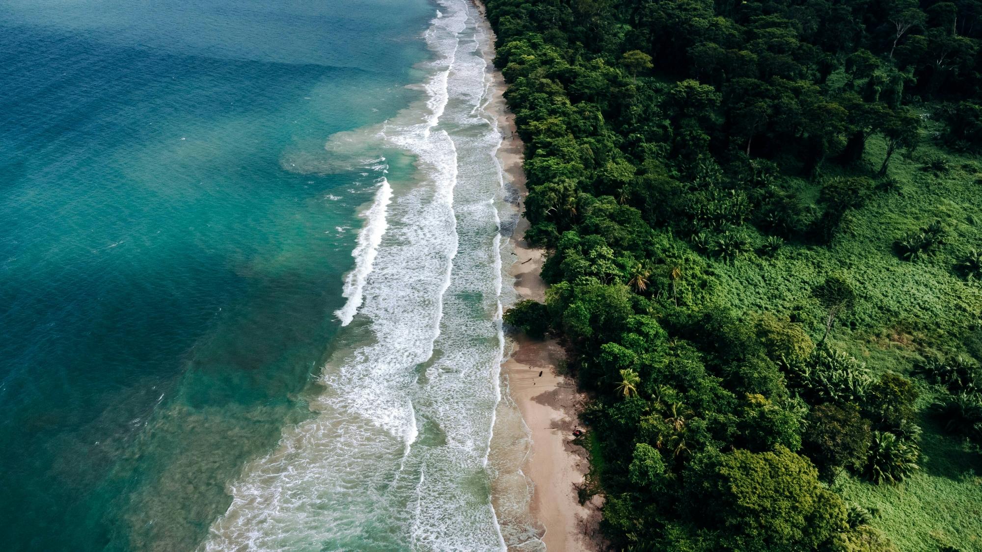 Cahuita National Park Snorkelling and Hike with Sloth Sanctuary