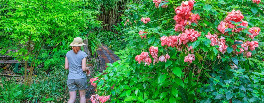 Bosque de flores de Barbados, Cueva de Harrison y Excursión a la alfarería Earthworks