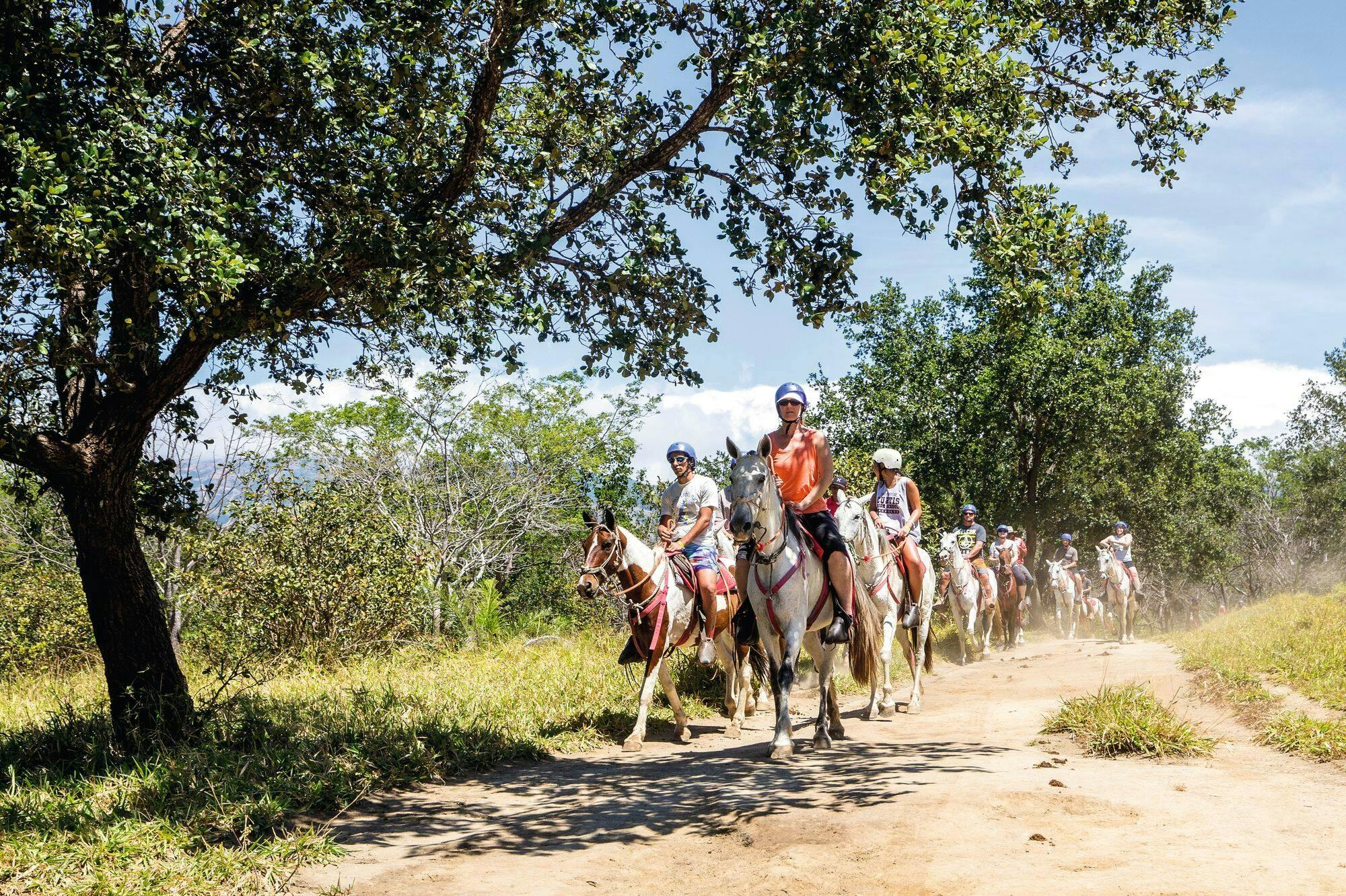 Buena Vista del Rincon Waterfall Horseback Ride