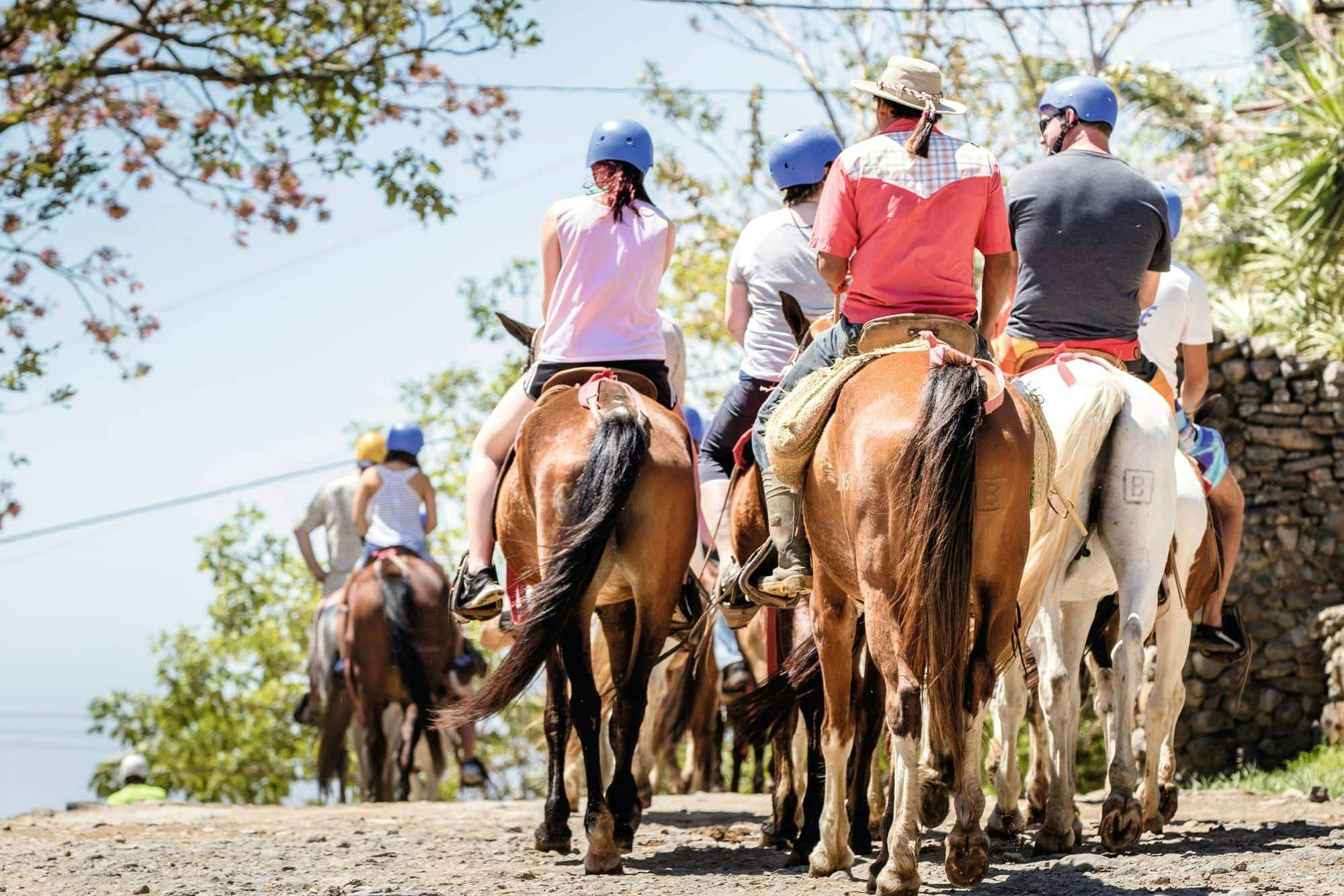 Buena Vista del Rincon Waterfall Horseback Ride