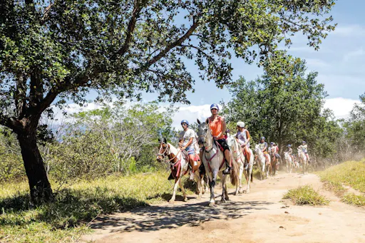 Buena Vista del Rincon Waterfall Horseback Ride