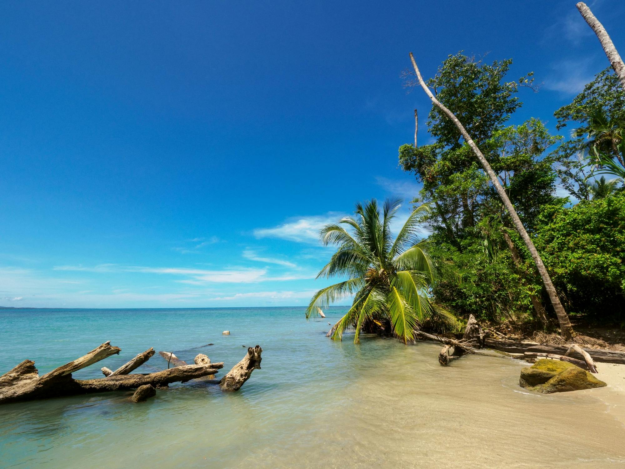 Parque Nacional Cahuita Snorkeling y Caminata con Santuario de Perezosos