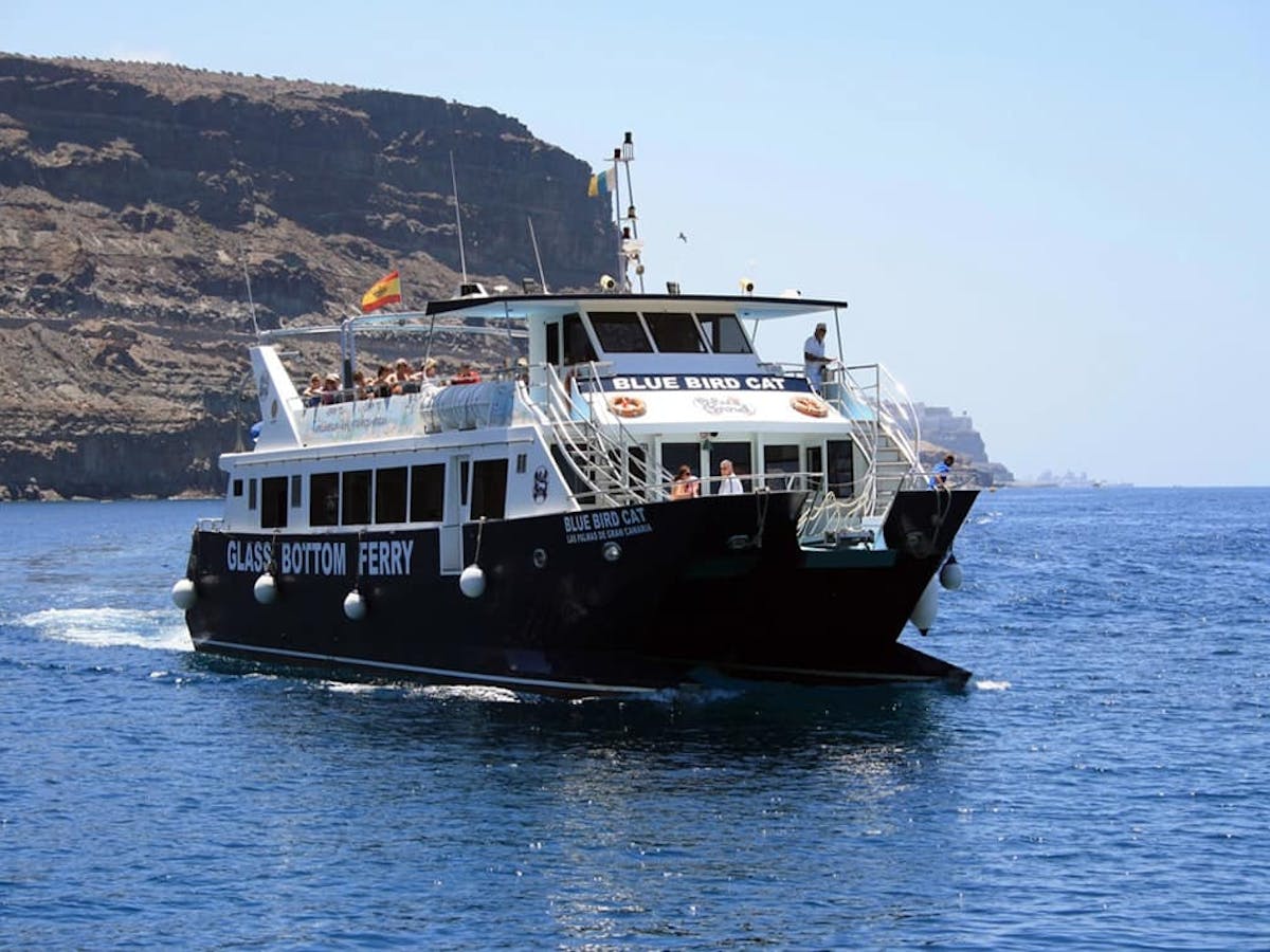 Taxi Boat Combo Ticket from Puerto Rico to Mogán and Arguineguín