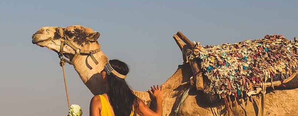 Avondrit op een kameel Agafay-woestijn met een traditioneel diner