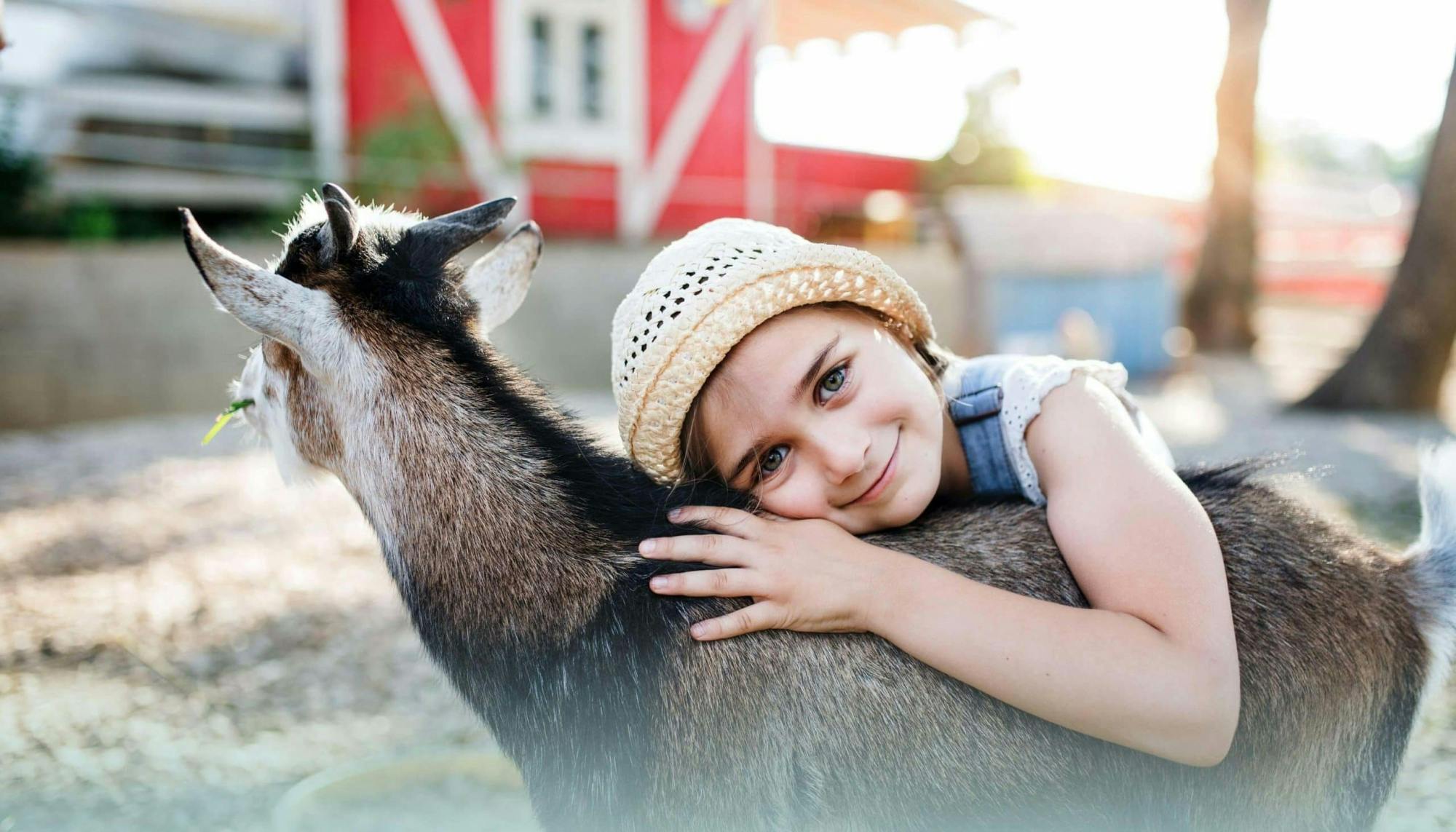 Fresopolis Family Farm Ticket