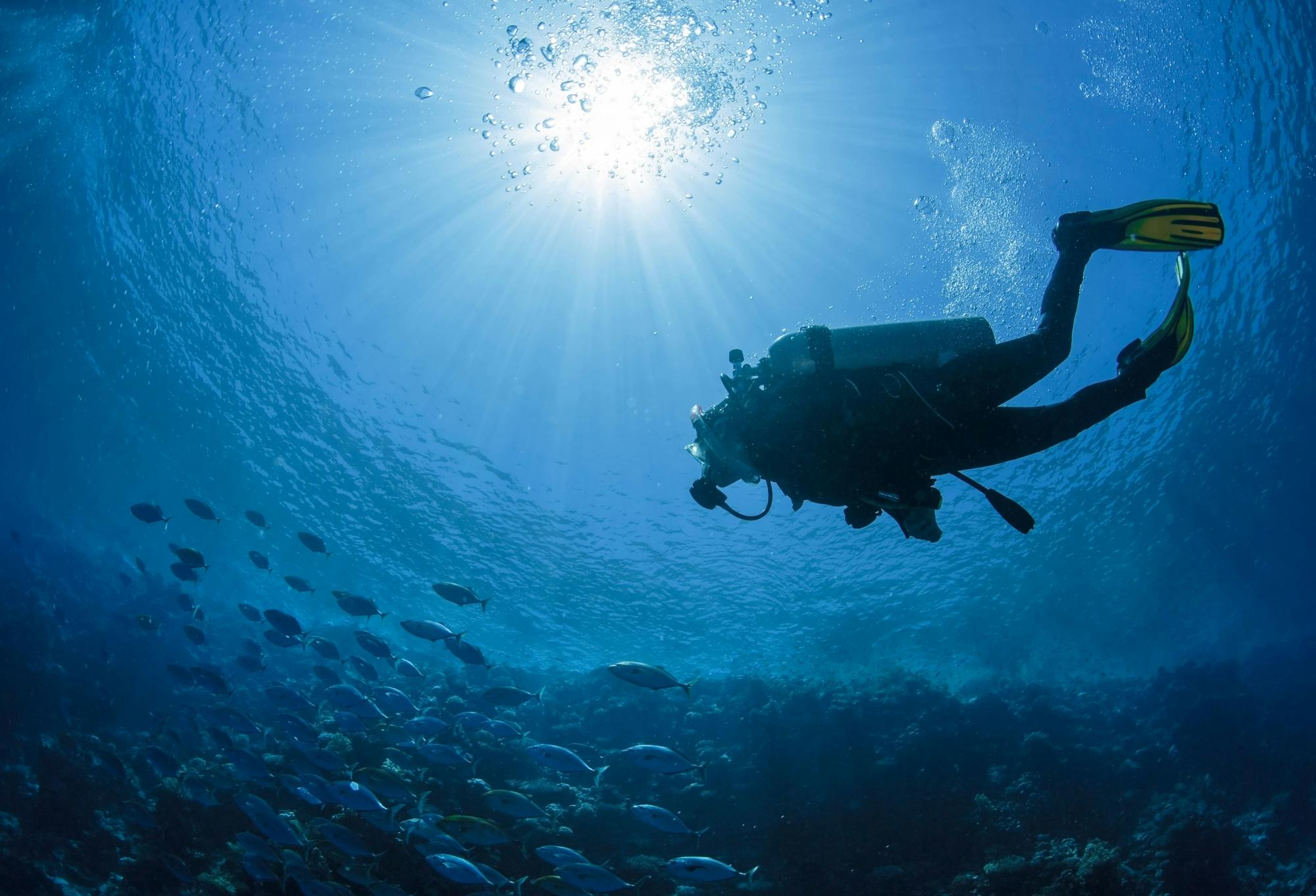 Discover Scuba Diving with H2O Scuba Academy