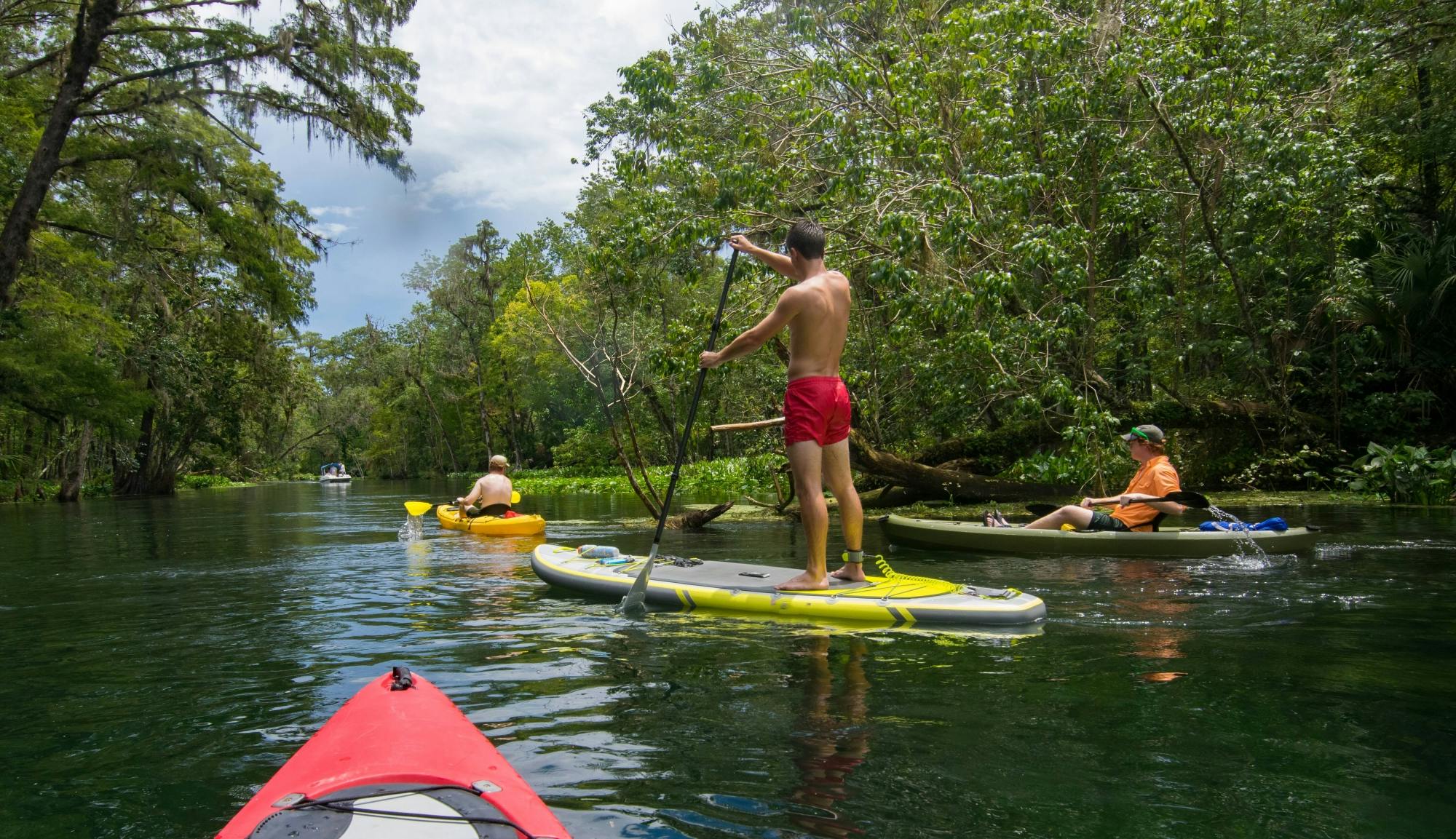 Punta Uva Kayaking, Caminhada e Centro de Resgate de Jaguares