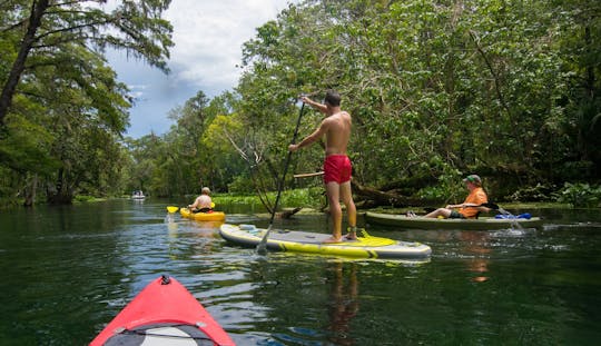 Punta Uva Kayaking, Caminhada e Centro de Resgate de Jaguares