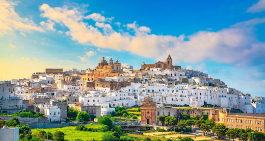Ostuni, Cisternino and Polignano full-day excursion from Bari