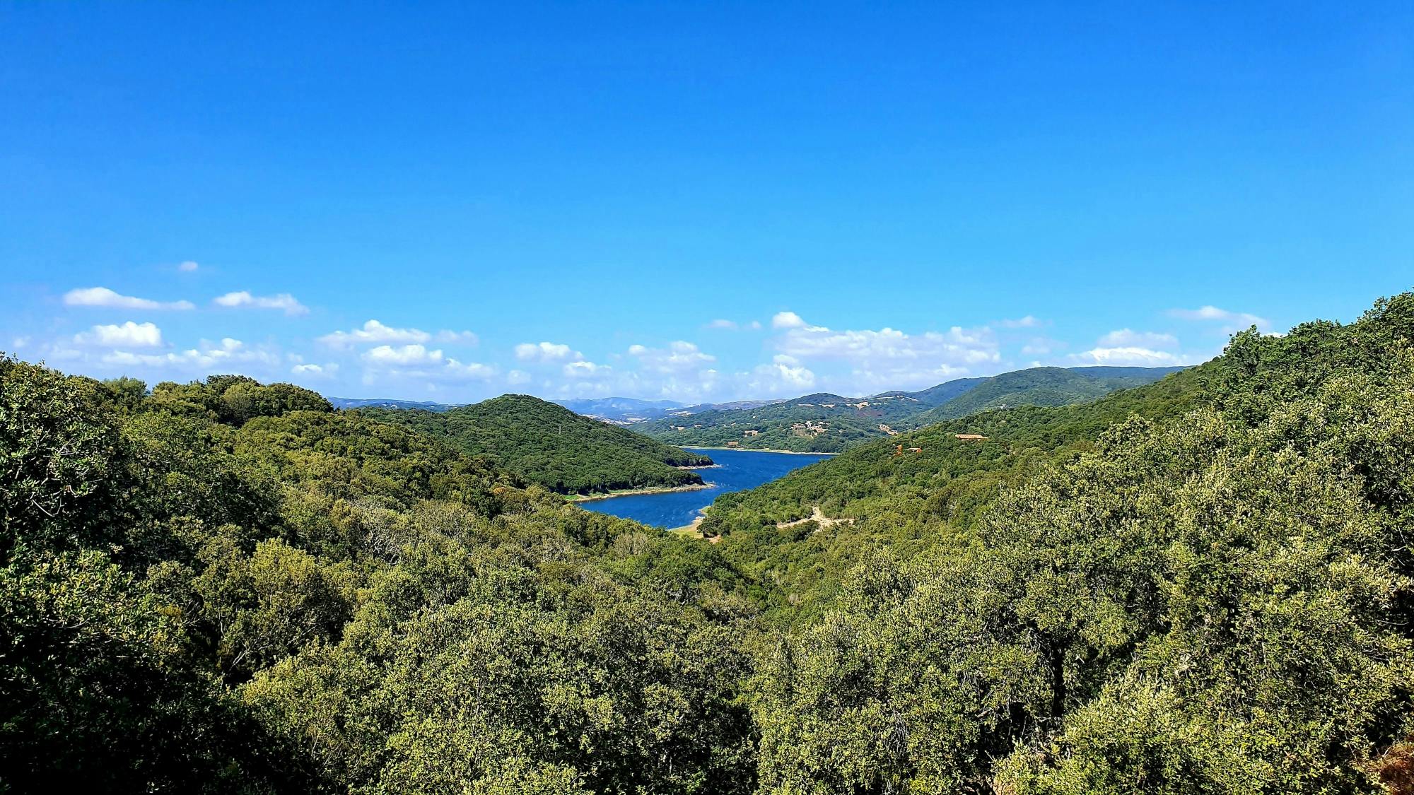 Discover Wonderful Gallura with Lunch