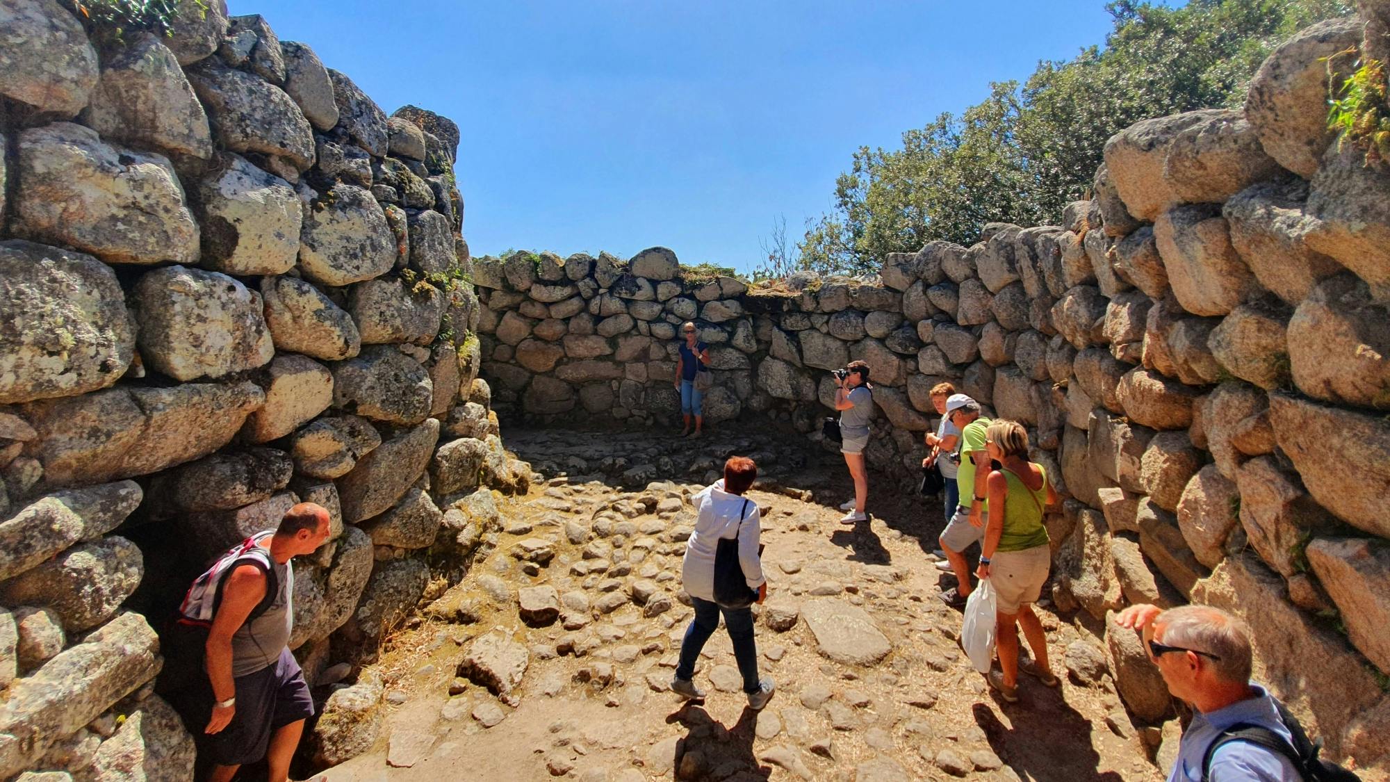 Discover Wonderful Gallura with Lunch