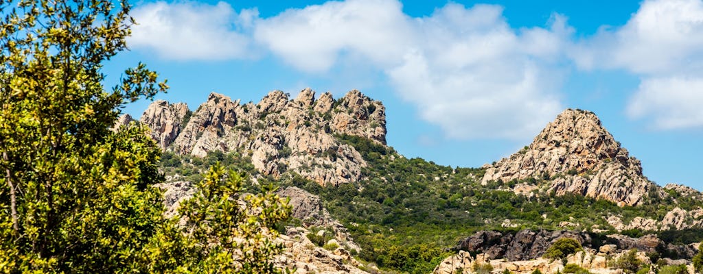 Entdecken Sie die wundervolle Gallura mit Mittagessen